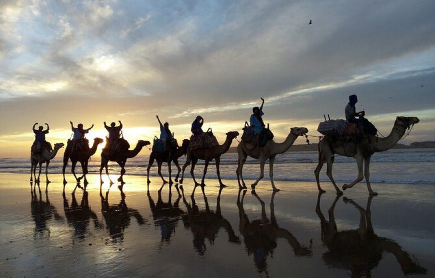 Camel Riding at Sunset in Agadir – A Journey into Tranquility