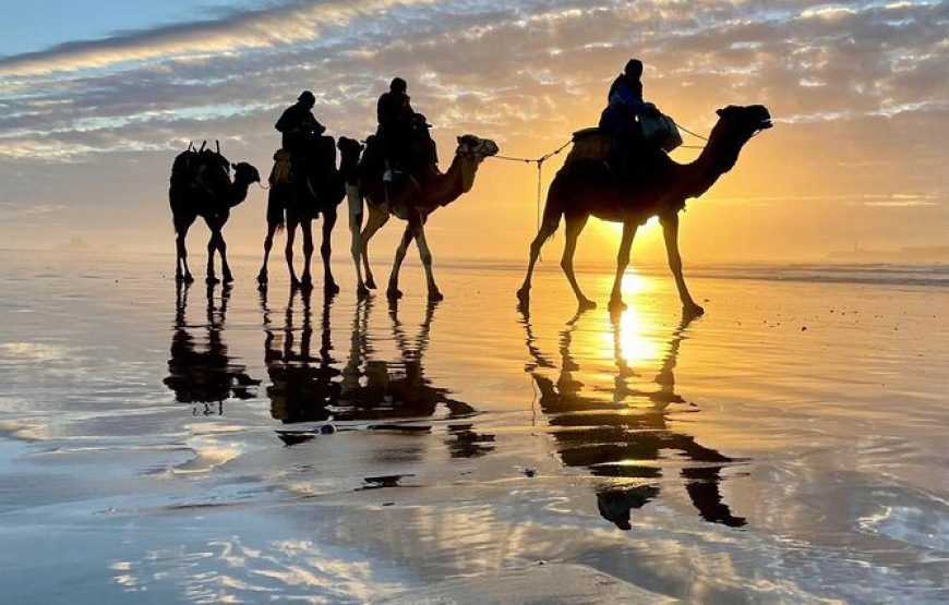 Camel Riding at Sunset in Agadir – A Journey into Tranquility