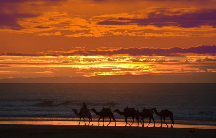 Camel Riding at Sunset in Agadir – A Journey into Tranquility