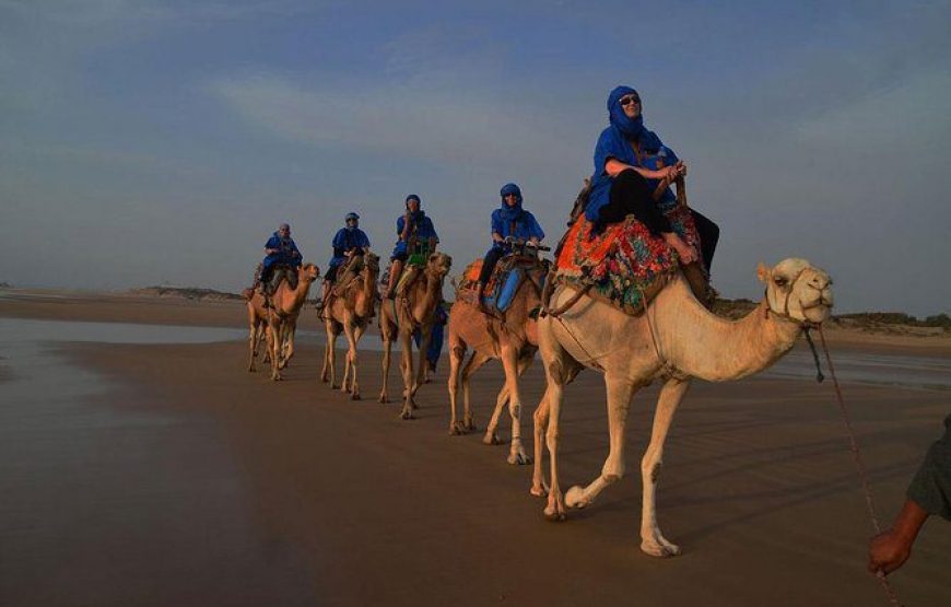 Camel Riding at Sunset in Agadir – A Journey into Tranquility