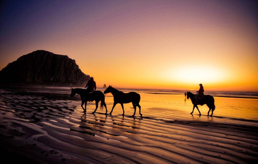 Horse Riding in Agadir: An Unforgettable Adventure