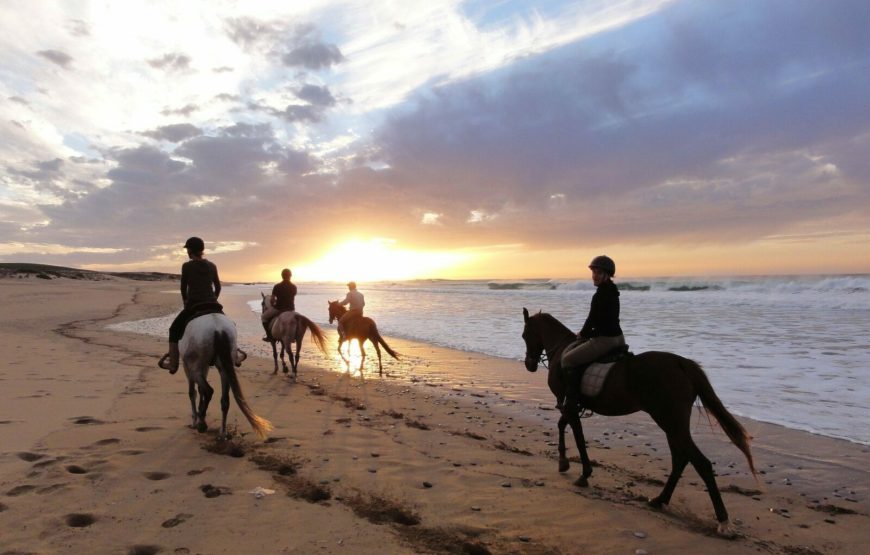 Horse Riding in Agadir: An Unforgettable Adventure