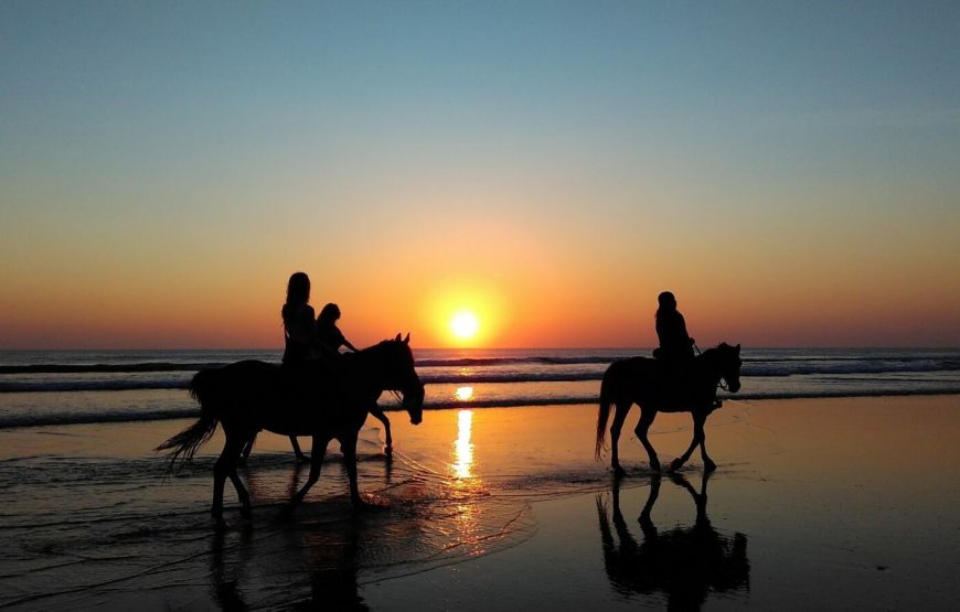 Horse Riding in Agadir: An Unforgettable Adventure