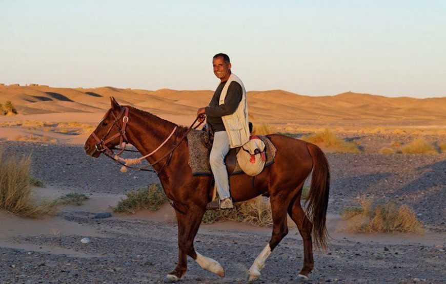 Horse Riding in Agadir: An Unforgettable Adventure